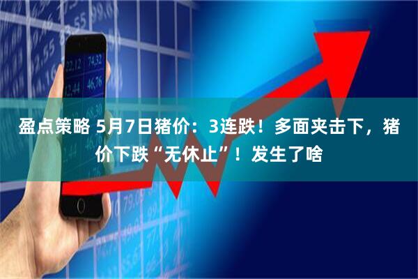 盈点策略 5月7日猪价：3连跌！多面夹击下，猪价下跌“无休止”！发生了啥